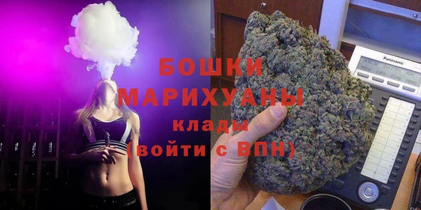 мдпв Мегион