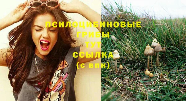 бутират Медвежьегорск