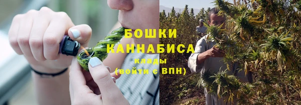 мдпв Мегион