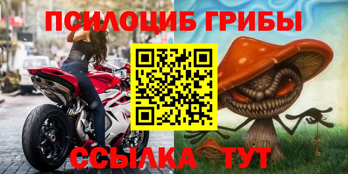 Псилоцибиновые грибы Psilocybe  Назрань  Псилоцибиновые грибы ЛСД 