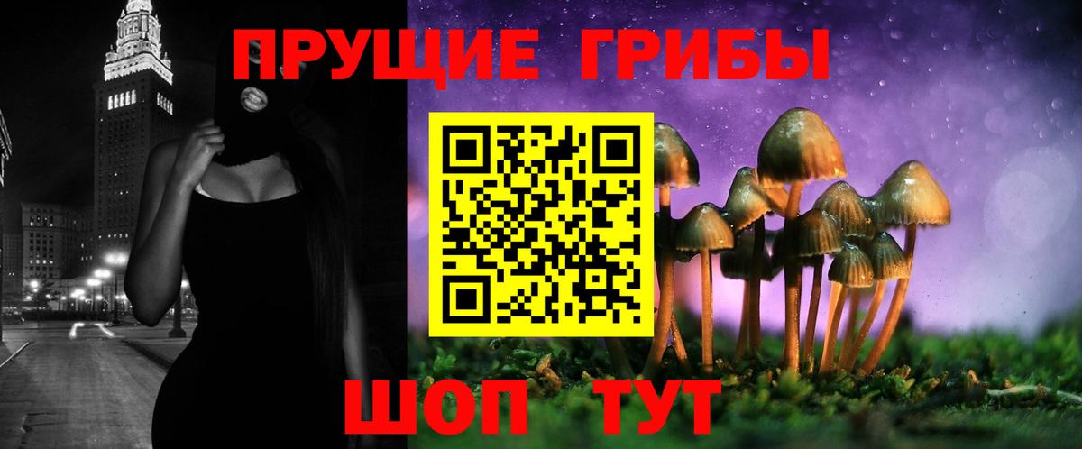как найти закладки  Вход с VPN  Назрань  Псилоцибиновые грибы GOLDEN TEACHER 